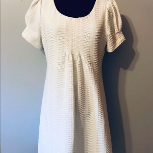 Ladies Dress Barn Dress
